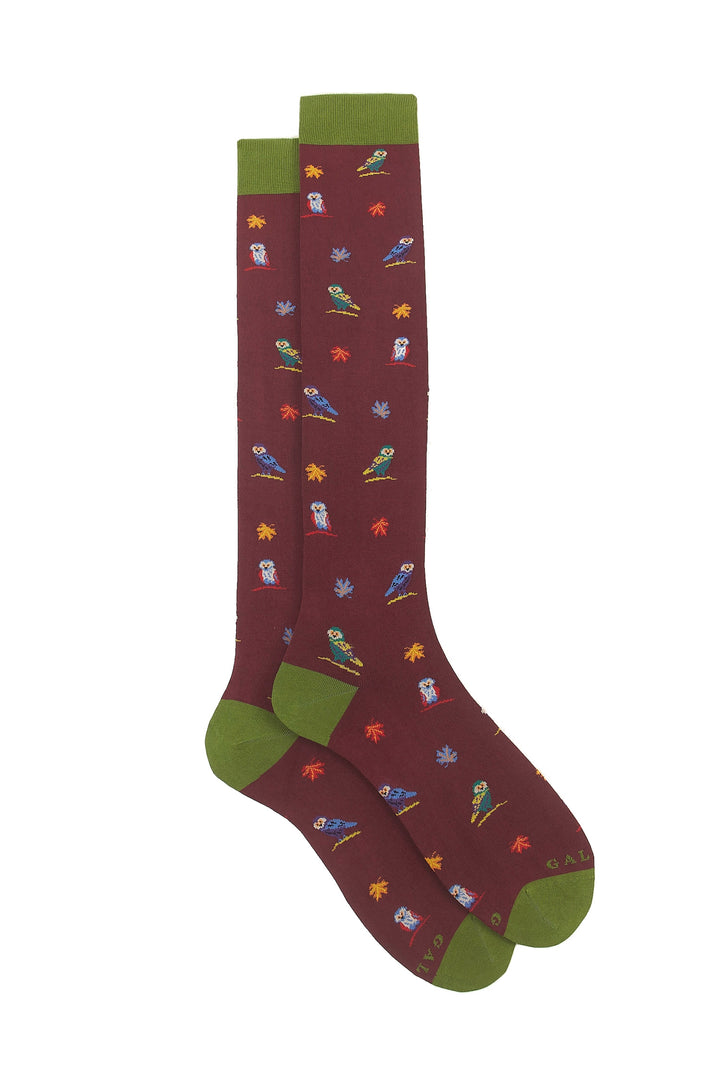 Long light cotton socks with owl pattern