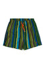 Multicolor striped cactus polyester beach shorts